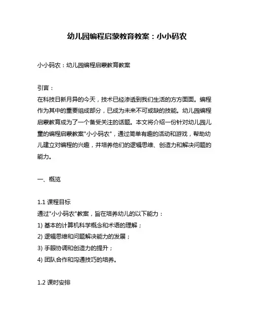 幼儿园编程启蒙教育教案：小小码农