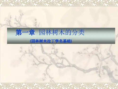 拉丁文基础知识