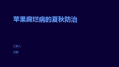 苹果腐烂病的夏秋防治