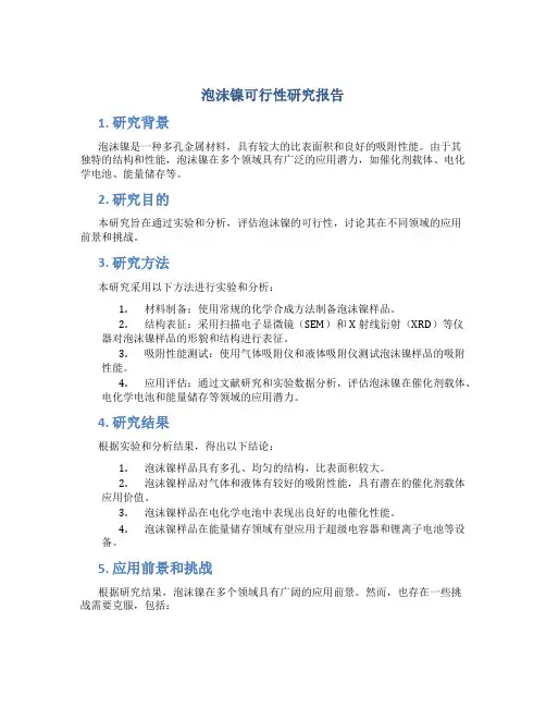 泡沫镍可行性研究报告