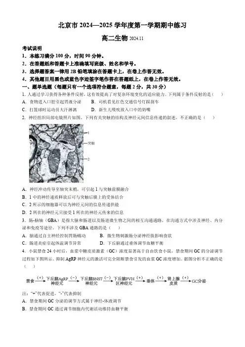 北京市2024-2025学年高二上学期11月期中考试生物试卷(含答案)