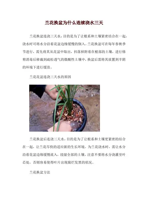 兰花换盆为什么连续浇水三天