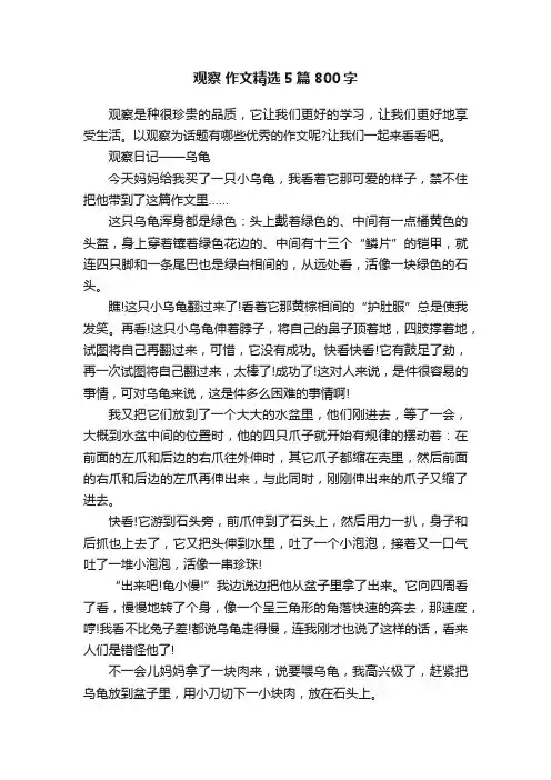 观察作文精选5篇800字