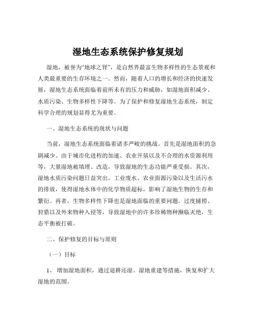 湿地生态系统保护修复规划