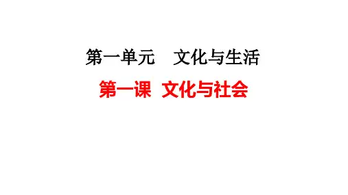 2020年高考政治文化生活复习课件 第一课   文化与社会(共41张PPT)