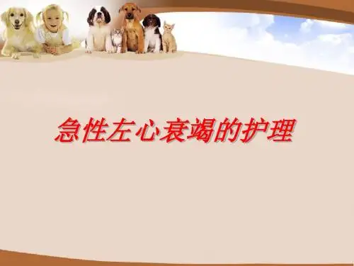 急性左心衰护理查房