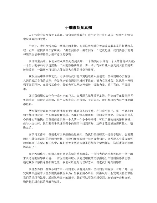 于细微处见真知