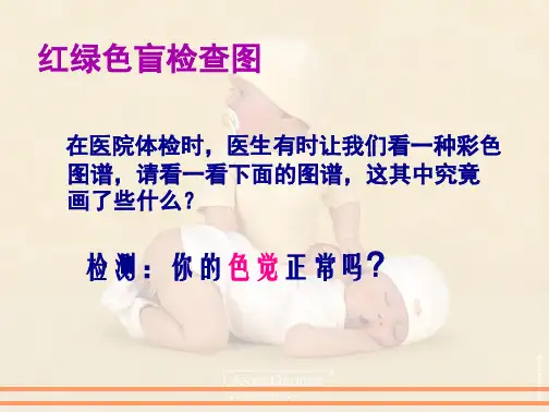 高一生物必修2 伴性遗传(共60张PPT)