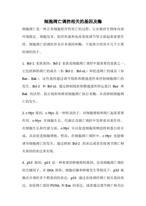 细胞凋亡调控相关的基因及酶