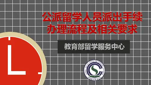 CSC公派手续及流程 ppt课件