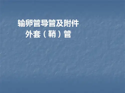 输卵管导管及