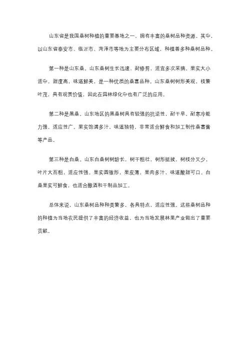山东桑树品种