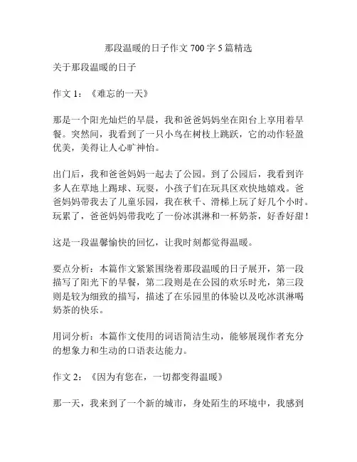 那段温暖的日子作文700字5篇精选