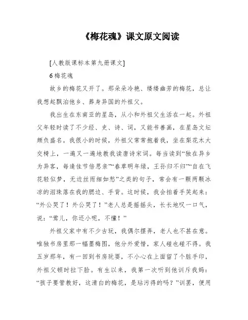 《梅花魂》课文原文阅读