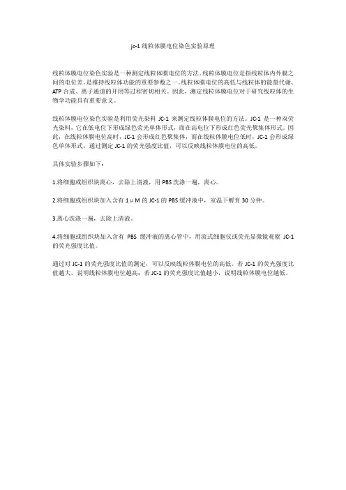jc-1线粒体膜电位染色实验原理