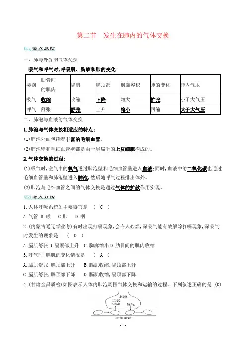 2022年人教版七年级下册生物同步培优第三章人体的呼吸第二节发生在肺内的气体交换