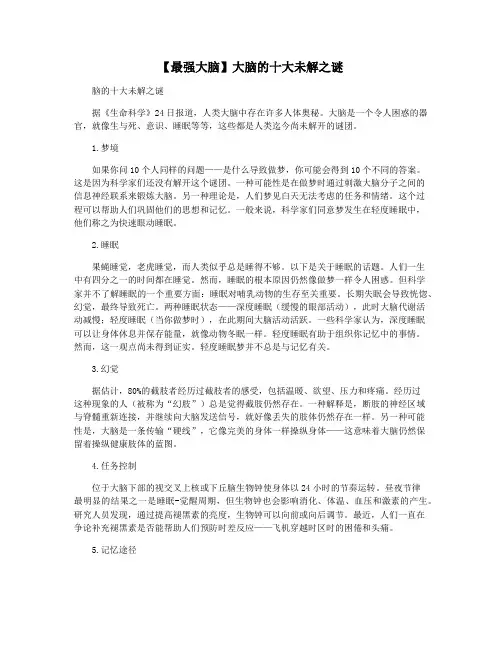 【最强大脑】大脑的十大未解之谜