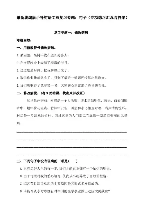 最新统编版小升初语文总复习专题：句子(专项训练汇总含答案)