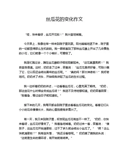 丝瓜花的变化作文