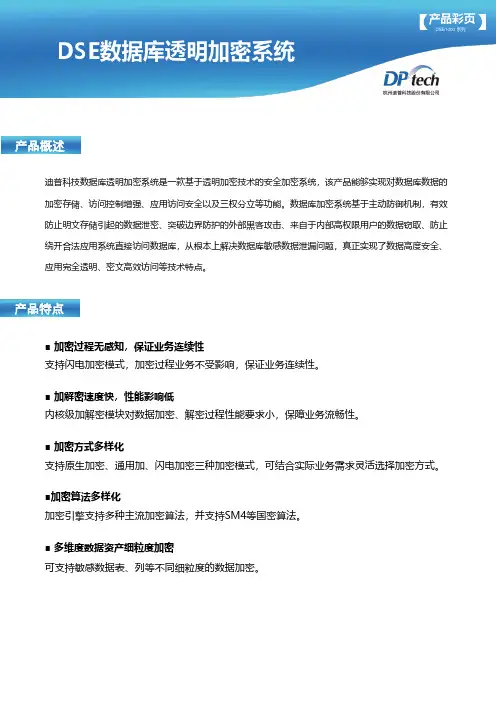 迪普科技 DSE数据库透明加密系统 DSE1000系列产品说明书
