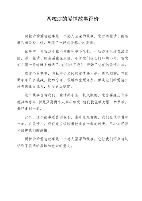 两粒沙的爱情故事评价