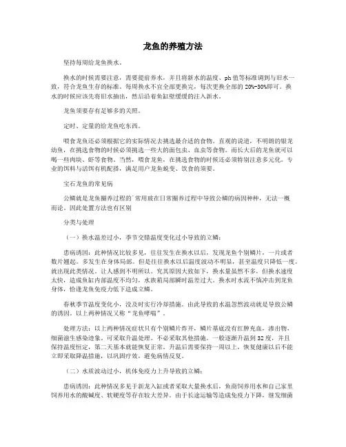 龙鱼的养殖方法