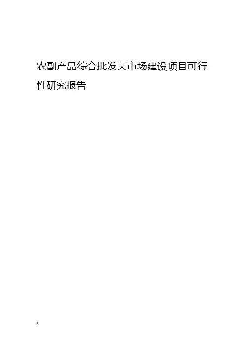 农副产品综合批发大市场建设项目可行性研究报告