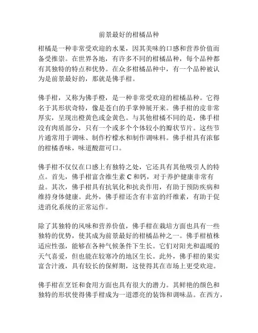 前景最好的柑橘品种