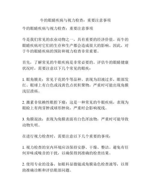 牛的眼睛疾病与视力检查：重要注意事项