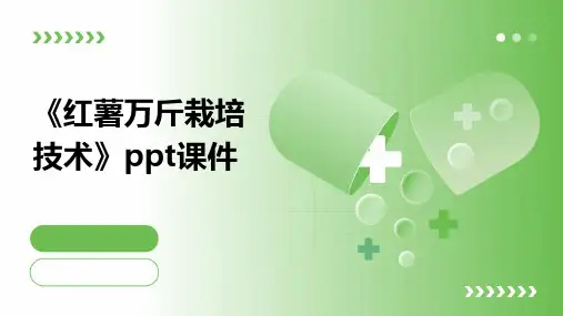 《红薯万斤栽培技术》课件