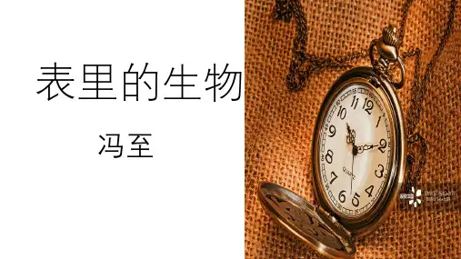 部编版表里的生物ppt教学课件