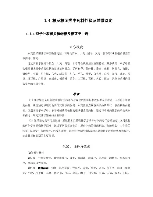 根及根茎类中药材性状及显微鉴定中药鉴定学