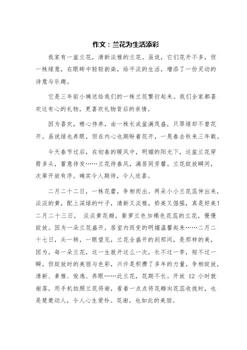 兰花为生活添彩作文