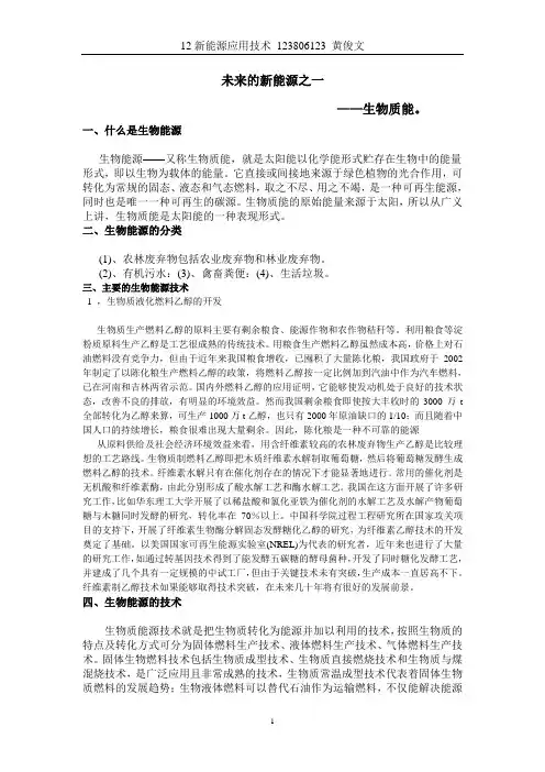 未来的新能源之一