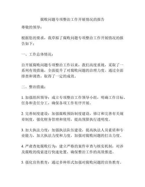 腐败问题专项整治工作开展情况的报告