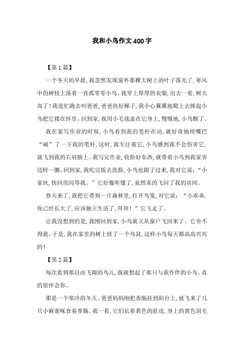 我和小鸟作文400字