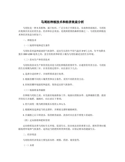 马尾松种植技术和经济效益分析