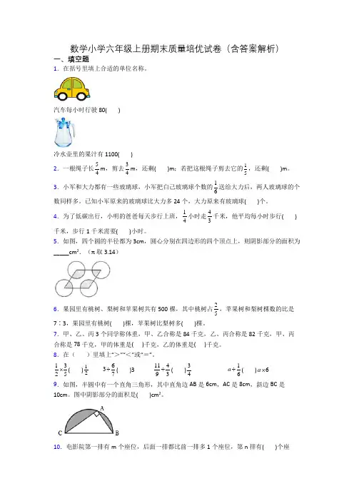 数学小学六年级上册期末质量培优试卷(含答案解析)