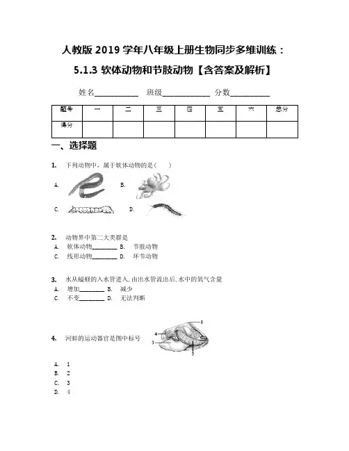 人教版2019学年八年级上册生物同步多维训练：5.1.3 软体动物和节肢动物【含答案及解析】