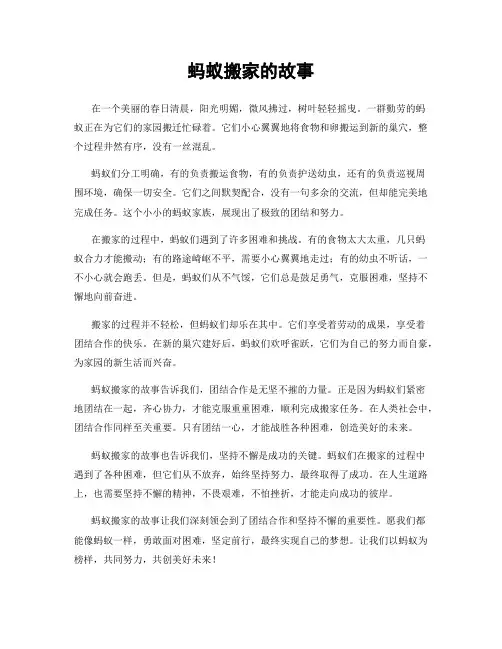 蚂蚁搬家的故事