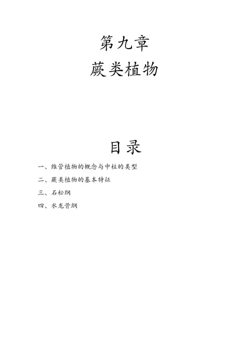 植物学第九章蕨类植物知识梳理与总结