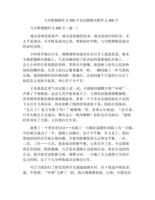 与失败拥抱作文800字尝试拥抱失败作文800字