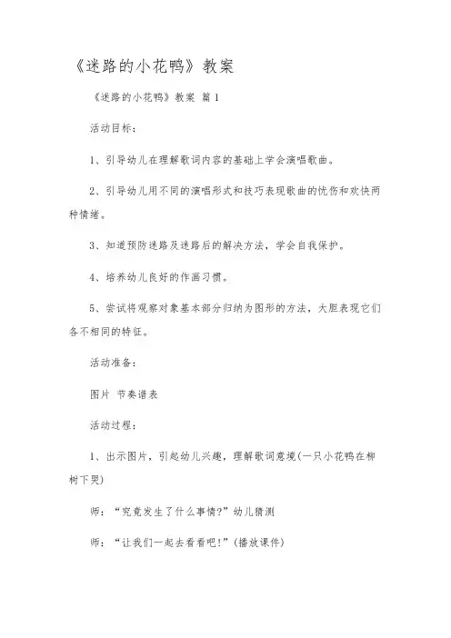 《迷路的小花鸭》教案