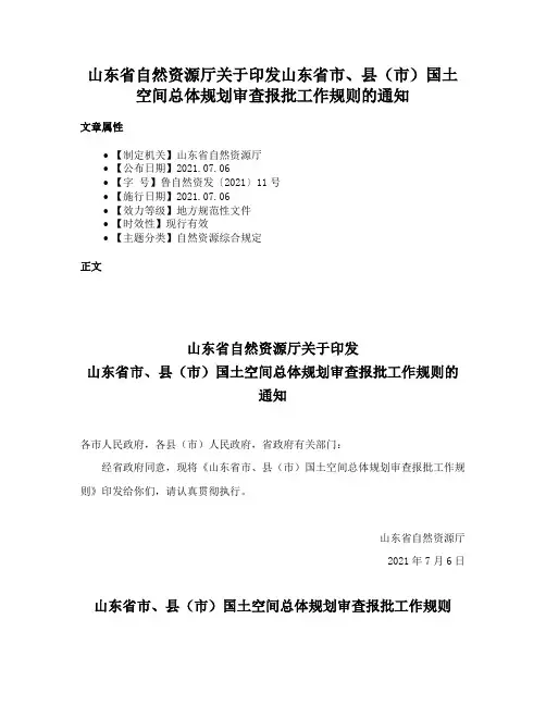 山东省自然资源厅关于印发山东省市、县（市）国土空间总体规划审查报批工作规则的通知