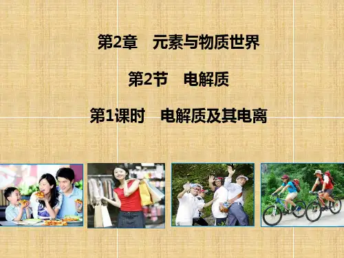 高中化学221电解质及其电离课件2鲁科版必修1