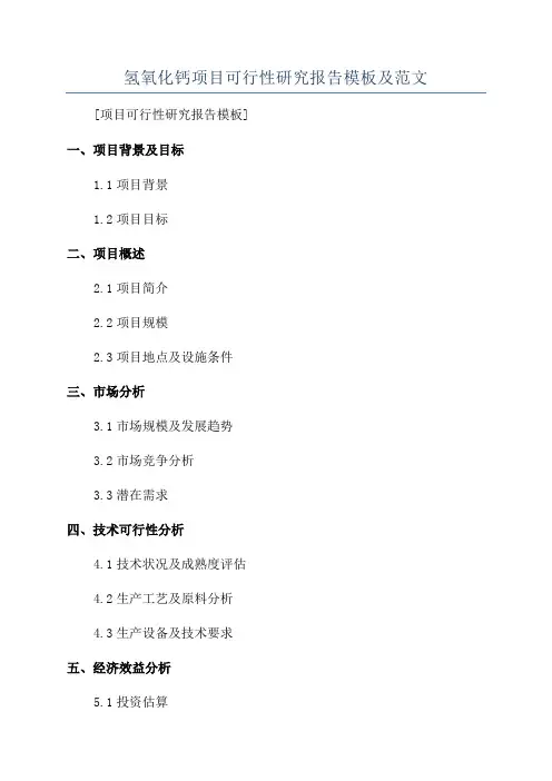 氢氧化钙项目可行性研究报告模板及范文