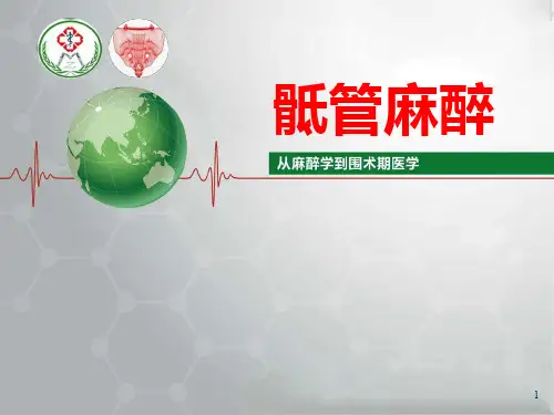 手术麻醉知识培训【肛肠科】