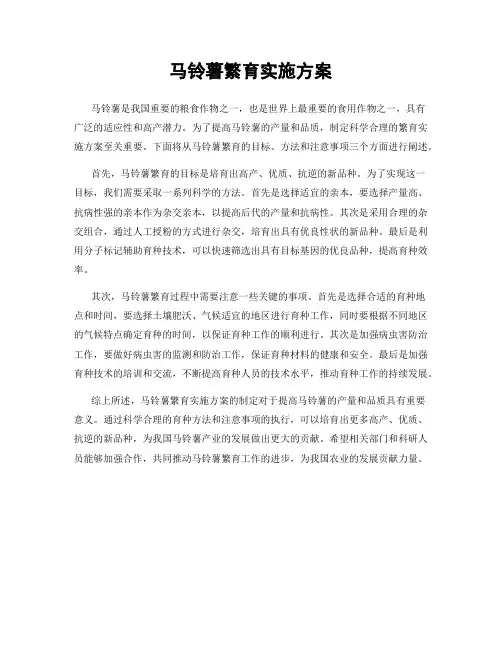 马铃薯繁育实施方案
