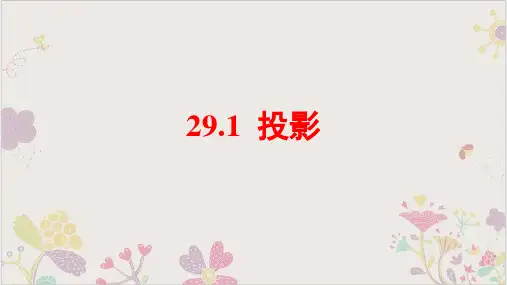 人教版《投影》PPT优质课件