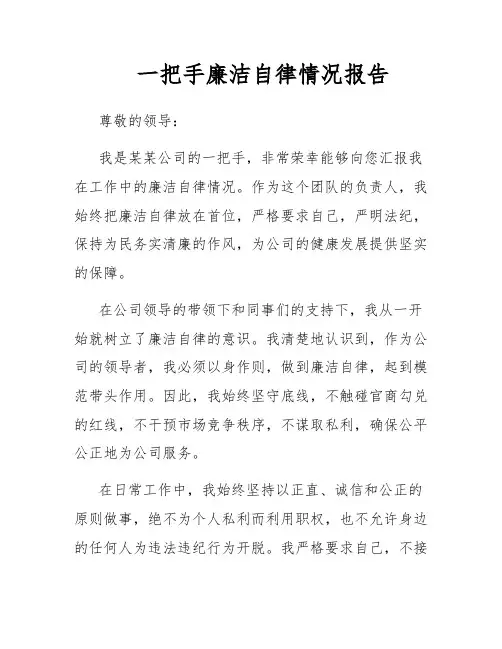 一把手廉洁自律情况报告